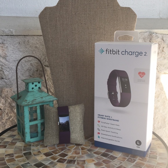 Fitbit Accessories -  Fitbit Charge 2 Plum w/Stainless Steel
